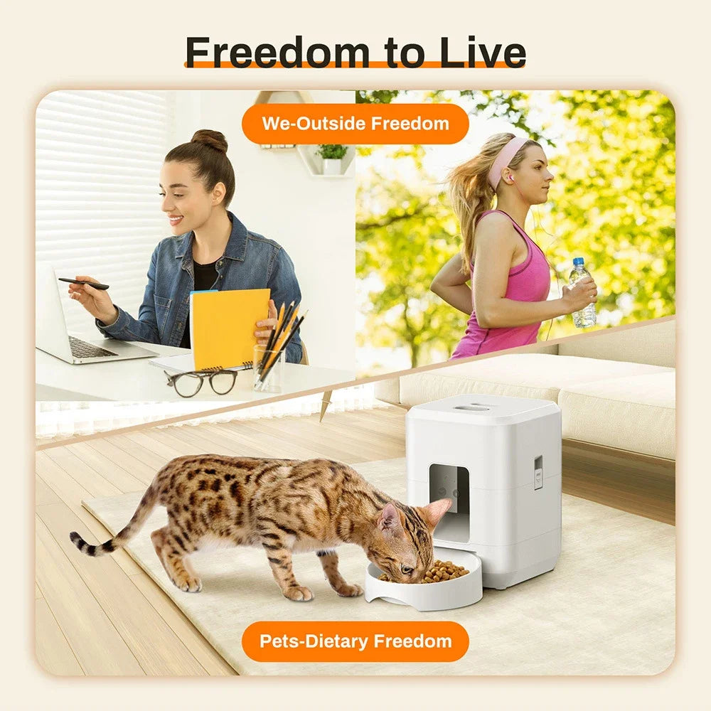Automatic Pet Feeder Button / WiFi Version Auto Cat Food Dispenser Accessories Smart Control Pet Feeder For Cats Dog Dry Food