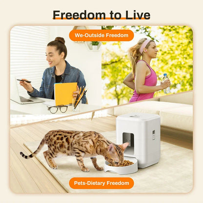 Automatic Pet Feeder Button / WiFi Version Auto Cat Food Dispenser Accessories Smart Control Pet Feeder For Cats Dog Dry Food