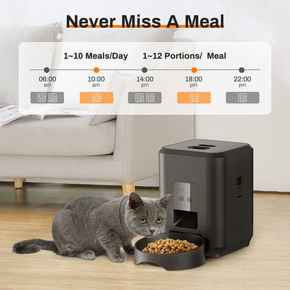 Automatic Pet Feeder Button / WiFi Version Auto Cat Food Dispenser Accessories Smart Control Pet Feeder For Cats Dog Dry Food