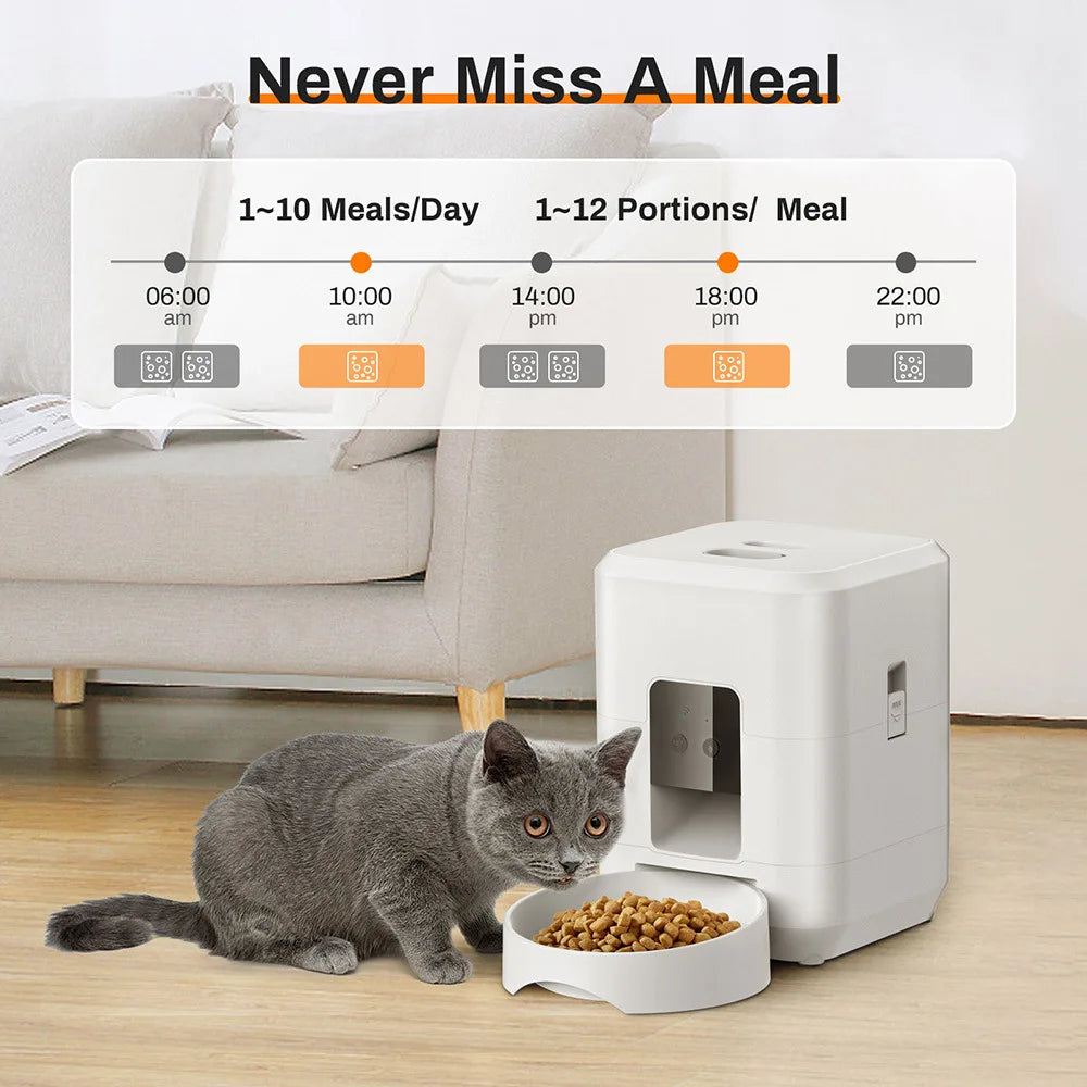 Automatic Pet Feeder Button / WiFi Version Auto Cat Food Dispenser Accessories Smart Control Pet Feeder For Cats Dog Dry Food