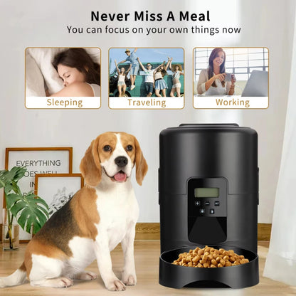 Automatic Pet Feeder Button / WiFi Version Auto Cat Food Dispenser Accessories Smart Control Pet Feeder For Cats Dog Dry Food