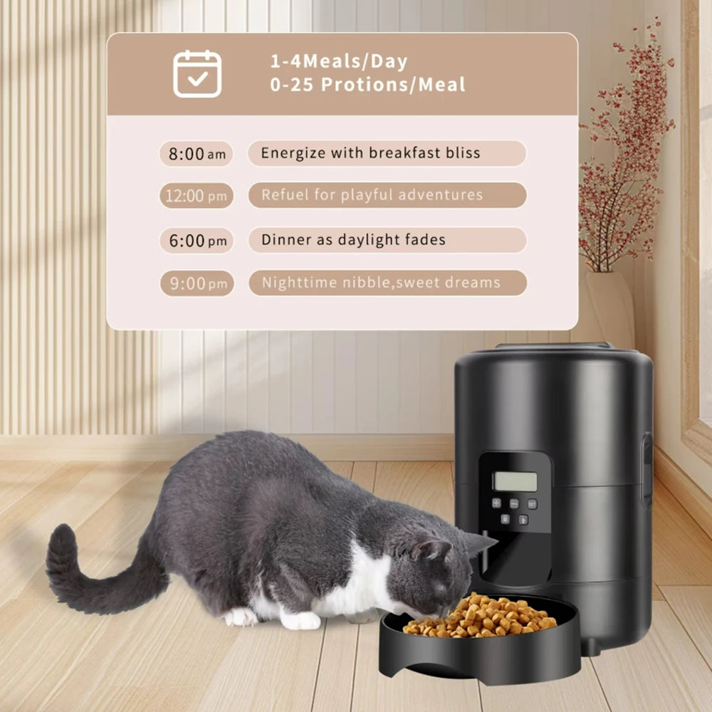 Automatic Pet Feeder Button / WiFi Version Auto Cat Food Dispenser Accessories Smart Control Pet Feeder For Cats Dog Dry Food
