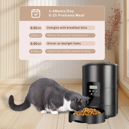 Automatic Pet Feeder Button / WiFi Version Auto Cat Food Dispenser Accessories Smart Control Pet Feeder For Cats Dog Dry Food