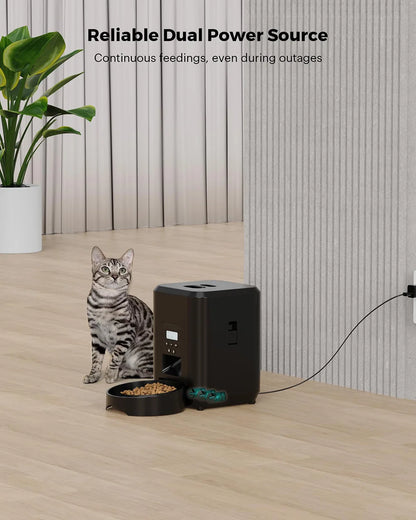 Automatic Pet Feeder Button / WiFi Version Auto Cat Food Dispenser Accessories Smart Control Pet Feeder For Cats Dog Dry Food