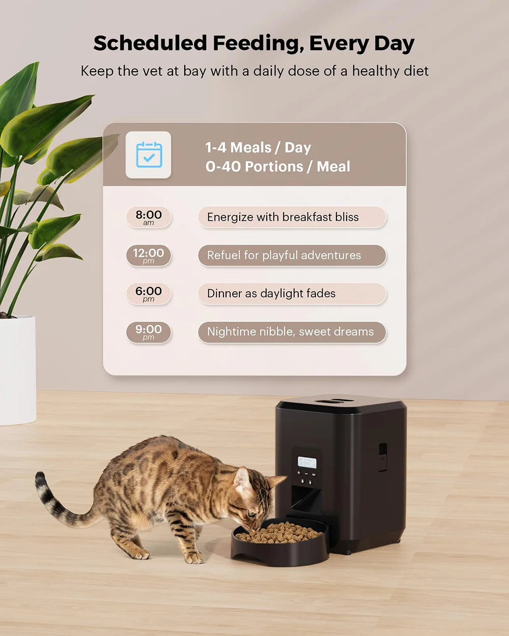 Automatic Pet Feeder Button / WiFi Version Auto Cat Food Dispenser Accessories Smart Control Pet Feeder For Cats Dog Dry Food