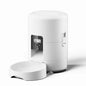 Automatic Pet Feeder Button / WiFi Version Auto Cat Food Dispenser Accessories Smart Control Pet Feeder For Cats Dog Dry Food